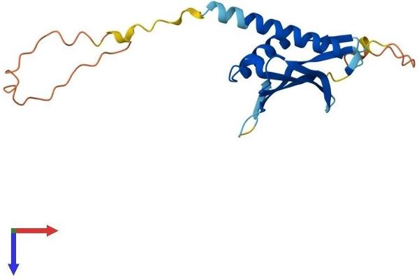 DDIT4L Protein (AA 1-193) (His tag)