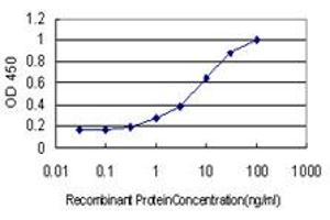 Detection limit for recombinant GST tagged ZNF202 is approximately 0. (ZNF202 Antikörper  (AA 301-400))