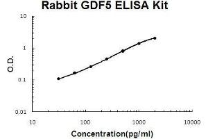 Rabbit GDF5 PicoKine ELISA Kit standard curve (GDF5 ELISA Kit)