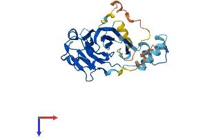 NEURL2 Protein (AA 1-285) (His tag)