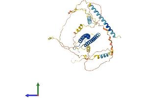 Protein Structure (PS) image for Transcription Factor EB (TFEB) (AA 1-476) protein (His tag) (ABIN7555749)