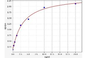 Syndecan 2 ELISA Kit