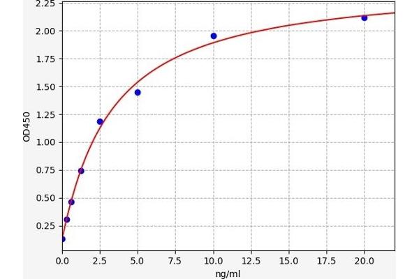 Syndecan 2 ELISA Kit