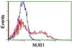 Image no. 4 for anti-Negative Regulator of Ubiquitin-Like Proteins 1 (NUB1) (AA 1-326) antibody (ABIN1490744)