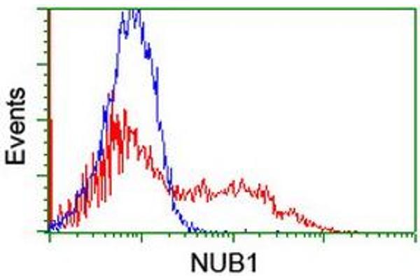 NUB1 抗体  (AA 1-326)