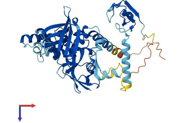MYLIP Protein (AA 1-445) (His tag)