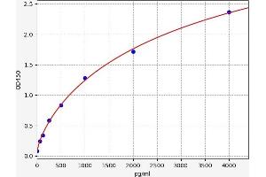 RIPK2 ELISA Kit