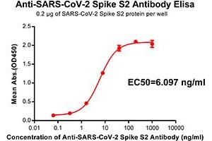 Elisa plate pre-coated by 2 μg/mL(100 μL/well) SARS-CoV-2 Spike S2 protein can bind Rabbit Anti-SARS-CoV-2 Spike S2 monoclonal antibody (clone:DM40) in a linear range of 0. (SARS-CoV-2 Spike Antikörper)