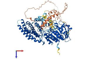 Protein Structure (PS) image for Lipase, Hormone-Sensitive (LIPE) (AA 1-759) protein (His tag) (ABIN7556166)