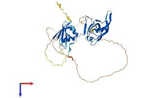 PARD6A Protein (AA 1-346) (His tag)