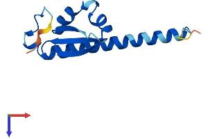 DPPA5 Protein (AA 1-116) (His tag)