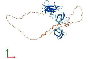 Protein Structure (PS) image for GRB2-Related Adaptor Protein 2 (GRAP2) (AA 1-322) protein (His tag) (ABIN7562711)