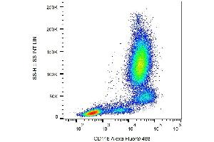 Surface staining of human peripheral blood with anti-CD11b (ICRF44) Alexa Fluor® 488. (CD11b Antikörper  (PE))