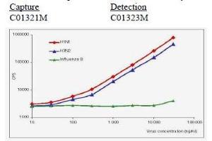 Calibration curve for Influenza A NP immunodetection in sandwich fluoroimmunoassay. (Influenza Nucleoprotein Antikörper (Influenza A Virus H1N1))