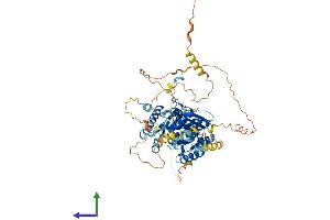 Protein Structure (PS) image for Large Subunit GTPase 1 Homolog (Lsg1) (AA 1-658) protein (His tag) (ABIN7549164)