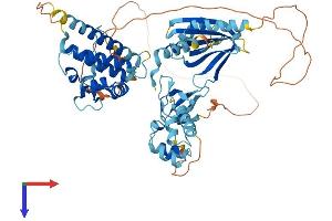 EPS8-Like 3 Protein (EPS8L3) (AA 1-593) (His tag)