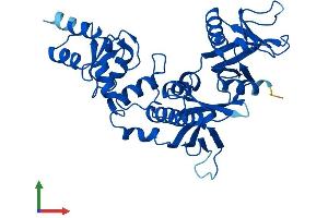 AlphaFold protein structure predicition of Human Recombinant ADAP1 Protein, UniprotID O75689