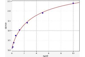 CSNK2A1/CK II alpha ELISA Kit