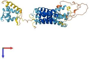 SLC39A8 Protein (AA 1-460) (His tag)