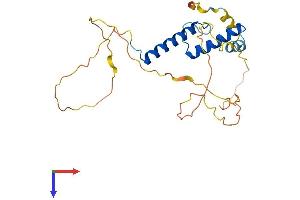 MESP1 Protein (AA 1-243) (His tag)