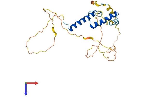 MESP1 Protein (AA 1-243) (His tag)