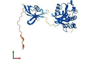 Protein Structure (PS) image for Isochorismatase Domain Containing 1 (ISOC1) (AA 1-297) protein (His tag) (ABIN7559977)