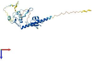 MBD3 Protein (AA 1-285) (His tag)