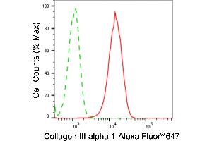 Flow cytometric analysis of collagen III alpha 1 expression in C2C12 cells using collagen III alpha 1 antibody (ABIN7798125), 1:2,000).