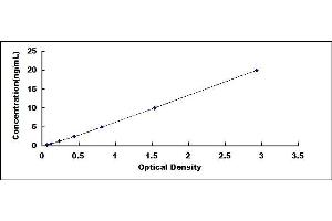 Typical standard curve (SYTL2 ELISA Kit)