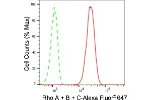 Flow cytometric analysis of Rho A + B + C expression in C2C12 cells using Rho A + B + C antibody (ABIN7800208), 1:2,000). (Rekombinanter RhoA,B,C Antikörper)