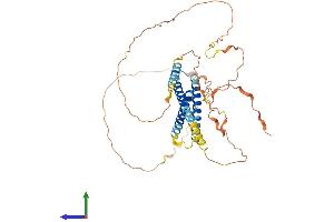 AlphaFold protein structure predicition of Human Recombinant SYNE4 Protein, UniprotID Q8N205