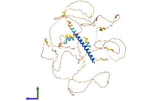 AlphaFold protein structure predicition of Human Recombinant CRTC3 Protein, UniprotID Q6UUV7 (CRTC3 Protein (AA 1-619) (His tag))
