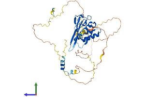 Protein Structure (PS) image for HCLS1 Binding Protein 3 (HS1BP3) (AA 1-395) protein (His tag) (ABIN7557053)
