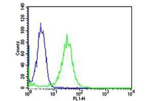 Flow cytometric analysis of Hela cells using FK Antibody (green, Cat(ABIN1944786 and ABIN2838527)) compared to an isotype control of mouse IgG1(blue). (MAFK Antikörper)