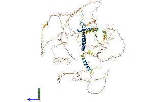 Protein Structure (PS) image for Transcription Factor 3 (E2A Immunoglobulin Enhancer Binding Factors E12/E47) (TCF3) (AA 1-654) protein (His tag) (ABIN7555765)
