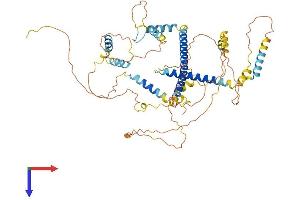 FSIP1 Protein (AA 1-581) (His tag)