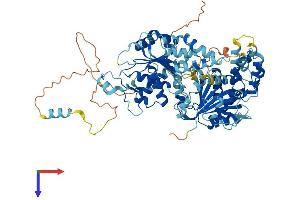RAD54L Protein (AA 1-747) (His tag)