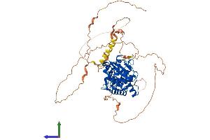 Protein Structure (PS) image for SUMO/sentrin Specific Peptidase 3 (SENP3) (AA 1-574) protein (His tag) (ABIN7555488)