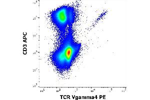 Flow cytometry multicolor surface staining pattern of human lymphocytes stained using anti-human TCR Vgamma4 (4A11. (TCR Vgamma4 Antikörper (PE))