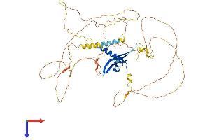 CBX2 Protein (AA 1-532) (His tag)