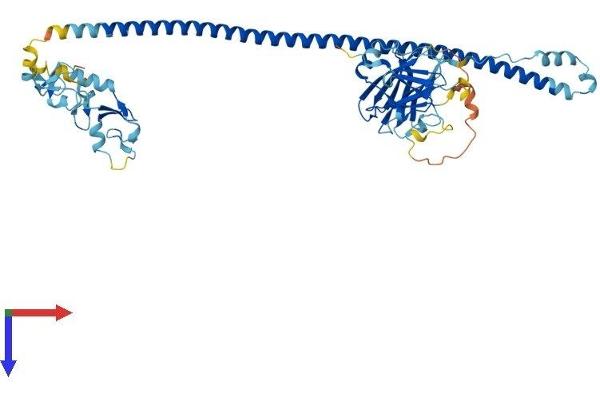 TRIM4 Protein (AA 1-500) (His tag)