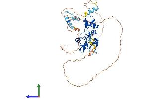 Protein Structure (PS) image for Suppressor of Cytokine Signaling 4 (SOCS4) (AA 1-436) protein (His tag) (ABIN7560132)