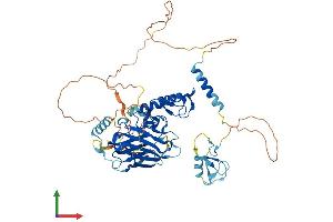 AlphaFold protein structure predicition of Mouse Recombinant Ubox5 Protein, UniprotID Q925F4