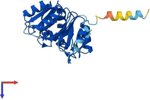 EIF6 Protein (AA 1-245) (His tag)