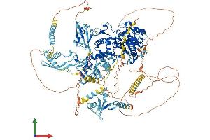 Protein Structure (PS) image for Valosin Containing Protein (p97)/p47 Complex Interacting Protein 1 (Vcpip1) (AA 1-1222) protein (His tag) (ABIN7555993)