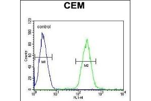 STBPL1 Antibody (Center) (ABIN651519 and ABIN2840275) flow cytometric analysis of CEM cells (right histogr) compared to a negative control cell (left histogr). (STAMBPL1 Antikörper  (AA 135-163))