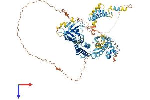 CNKSR1 Protein (AA 1-720) (His tag)