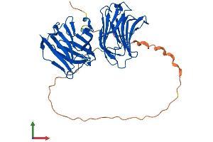 Protein Structure (PS) image for Lectin, Galactoside-Binding, Soluble, 9B (LGALS9B) (AA 1-356) protein (His tag) (ABIN7548894)