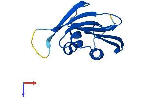 PSMG3 Protein (AA 1-122) (His tag)