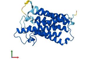 AlphaFold protein structure predicition of Human Recombinant SRD5A2 Protein, UniprotID P31213